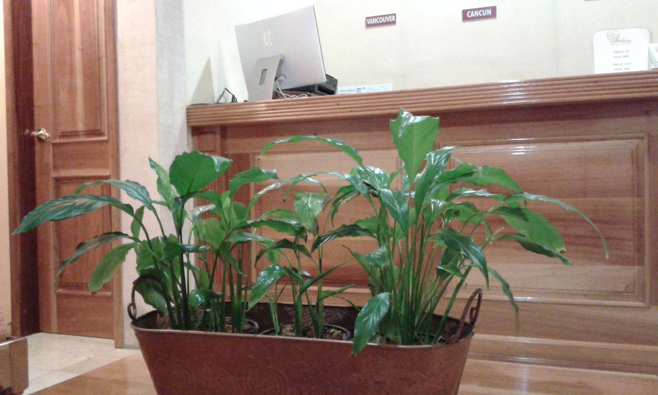Cancun International Suites Luaran gambar